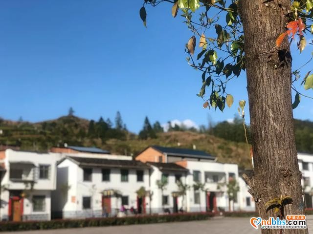 蕉城：看桃花溪村别样“红”-3.jpg