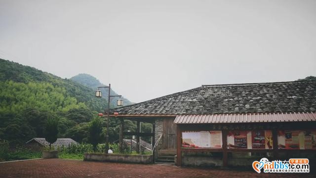 蕉城：看桃花溪村别样“红”-6.jpg