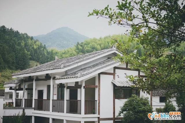 蕉城：看桃花溪村别样“红”-5.jpg