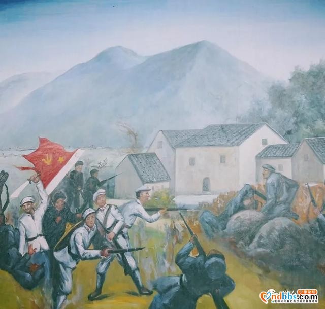 蕉城：看桃花溪村别样“红”-11.jpg