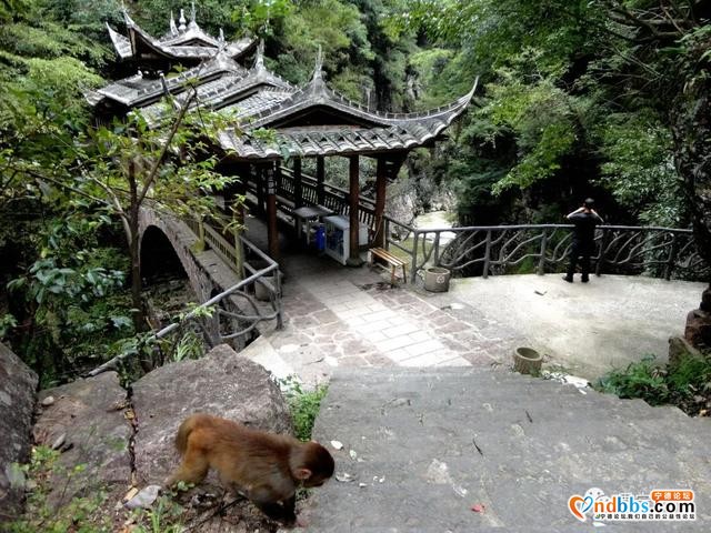 宁德 ▏这个新晋的“清新福建·气候福地”避暑清凉福地，风光无限，走起！-16.jpg