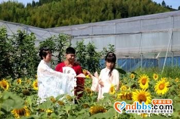 宁德寿宁：发展田园旅游，助力乡村振兴-1.jpg