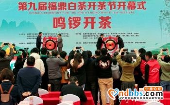 宁德：山海律动 因“宁”精彩-15.jpg