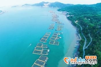 宁德：山海律动 因“宁”精彩-17.jpg