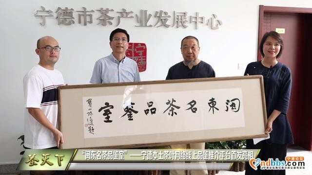 宁德本土茶叶网络线上品鉴推介平台首发亮相-1.jpg