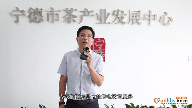 宁德本土茶叶网络线上品鉴推介平台首发亮相-8.jpg