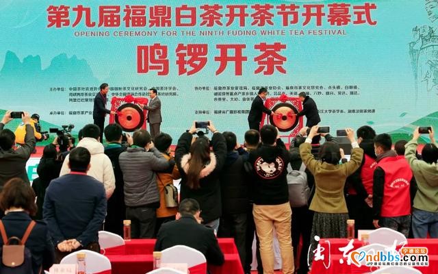 宁德：山海律动 因“宁”精彩（二）-8.jpg