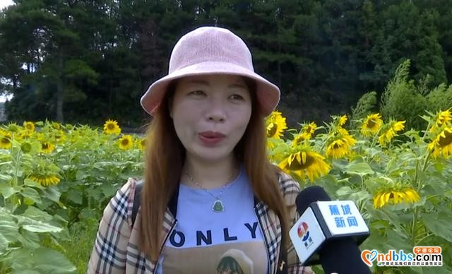 免费开放！蕉城新晋网红打卡点，大片向日葵盛放-9.jpg