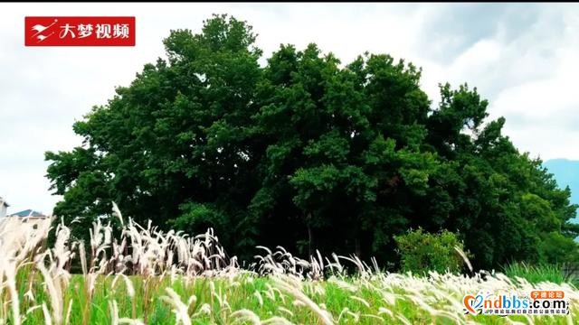 空中新蕉城 | 想把时光揉碎在这个云气飘飘的地方~-6.jpg