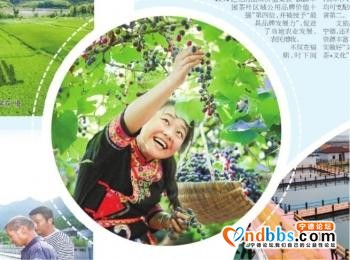 千里沃野奏强音——宁德努力走好具有闽东特色的乡村振兴之路-6.jpg