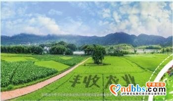 千里沃野奏强音——宁德努力走好具有闽东特色的乡村振兴之路-4.jpg