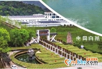千里沃野奏强音——宁德努力走好具有闽东特色的乡村振兴之路-3.jpg