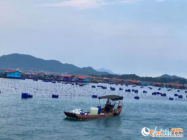 宁德霞浦“海上村庄”转型升级后：航道更宽，水电都通-3.jpg