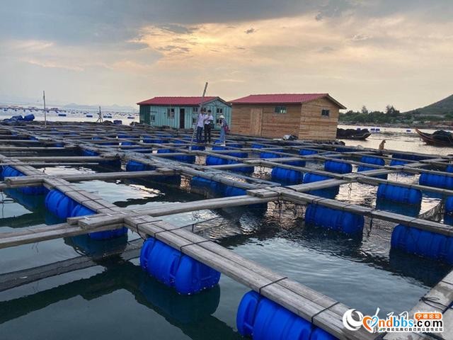 宁德霞浦“海上村庄”转型升级后：航道更宽，水电都通-1.jpg