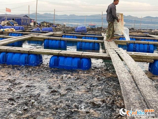 宁德霞浦“海上村庄”转型升级后：航道更宽，水电都通-2.jpg