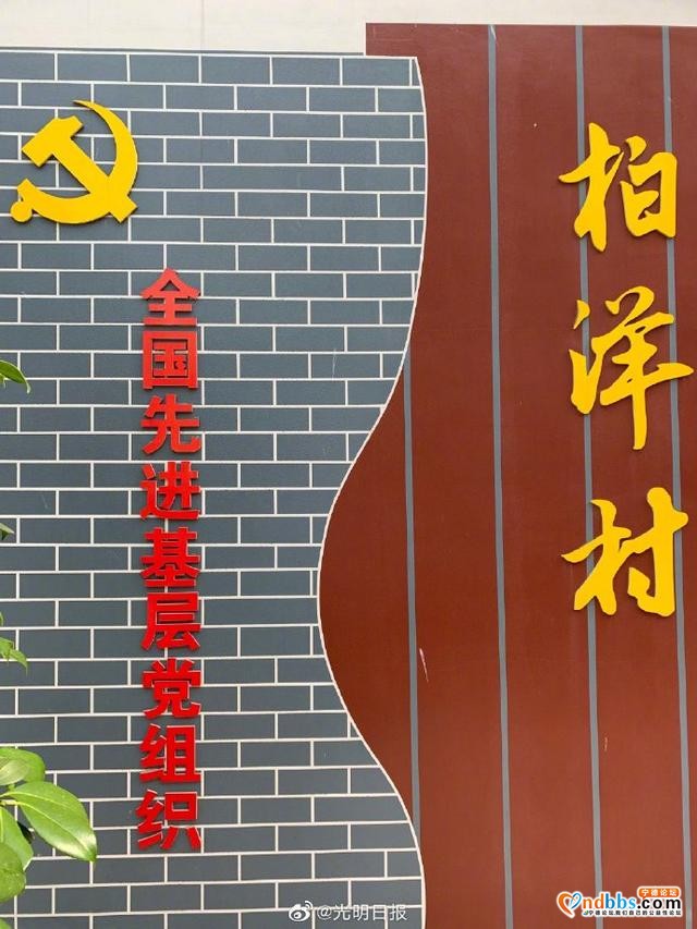 从赤贫到“小康明星村”，福建宁德福鼎市柏洋村这样做-1.jpg