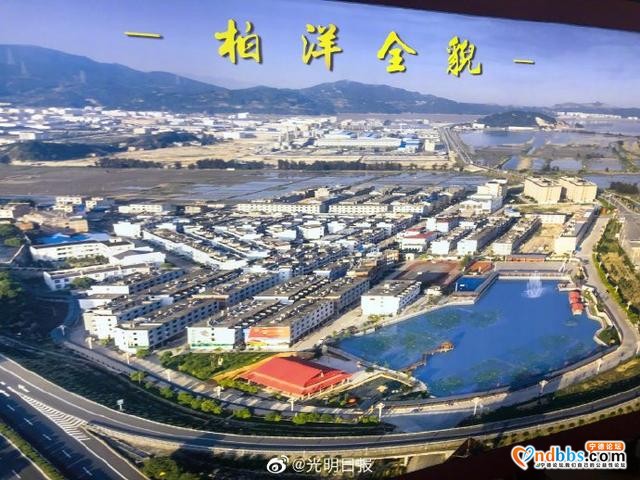 从赤贫到“小康明星村”，福建宁德福鼎市柏洋村这样做-6.jpg