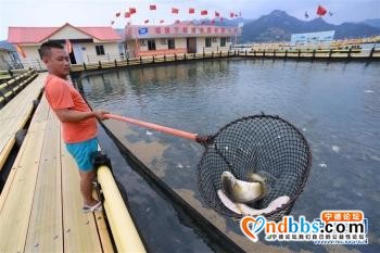 宁德：一尾黄鱼游出百亿产业「组图」-4.jpg