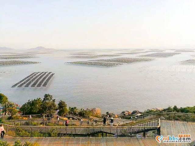 宁德之旅 | 霞浦7天自驾游全攻略（一）-19.jpg