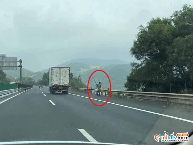 宁德新闻红黑榜?丨有人在高速上行走？危险-7.jpg