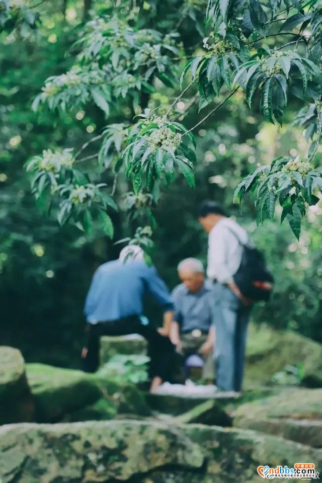 毕业旅行地推荐 | 福建这5座低调高山，越爬越瘦，会上瘾~-21.jpg