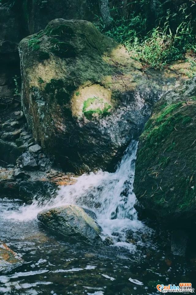 毕业旅行地推荐 | 福建这5座低调高山，越爬越瘦，会上瘾~-22.jpg