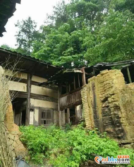旅游|最炫民族风——去宁德这些乡村感受最地道的畲族风情-6.jpg