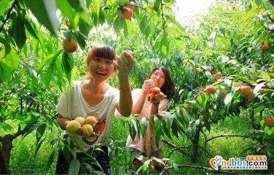 旅游|最炫民族风——去宁德这些乡村感受最地道的畲族风情-11.jpg