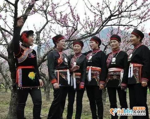 旅游|最炫民族风——去宁德这些乡村感受最地道的畲族风情-9.jpg