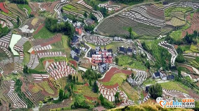 旅游|最炫民族风——去宁德这些乡村感受最地道的畲族风情-18.jpg