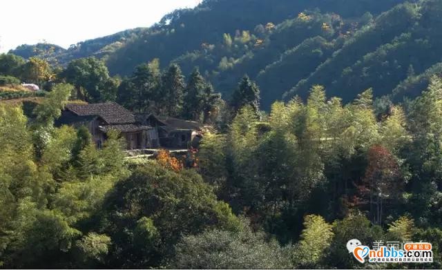 旅游|最炫民族风——去宁德这些乡村感受最地道的畲族风情-25.jpg