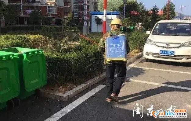 东侨华侨社区：归侨居民的抗疫狙击战-2.jpg