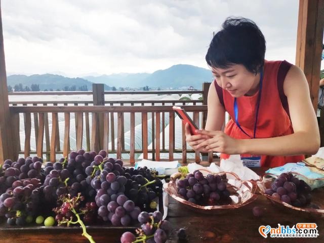 宁德：今天，央媒省媒名编名记们尝到了“南国最甜的葡萄”、穆阳“仙桃”，感受到青拓集团的酷炫科技……-9.jpg
