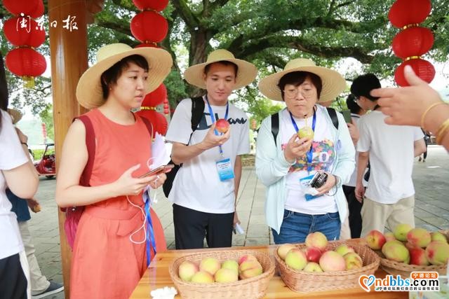 宁德：今天，央媒省媒名编名记们尝到了“南国最甜的葡萄”、穆阳“仙桃”，感受到青拓集团的酷炫科技……-10.jpg