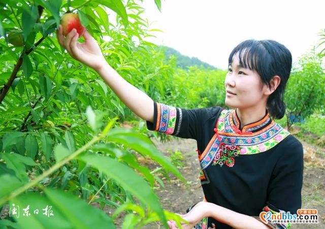 宁德：今天，央媒省媒名编名记们尝到了“南国最甜的葡萄”、穆阳“仙桃”，感受到青拓集团的酷炫科技……-14.jpg