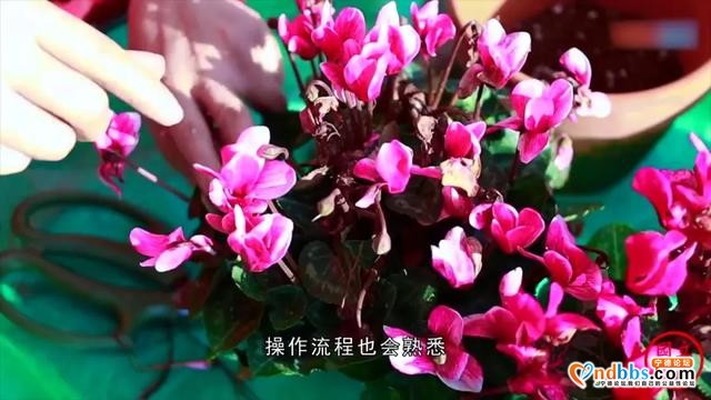 宁德：“培训给补贴 技能利终身”--我市大力实施职业技能培训“315工程”-5.jpg