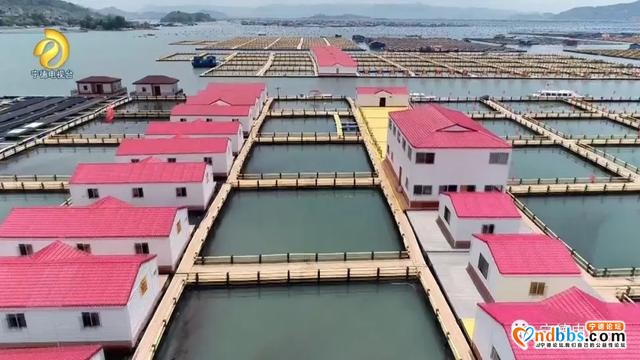 宁德：升级版“海上田园”重现闽东碧海清波-4.jpg