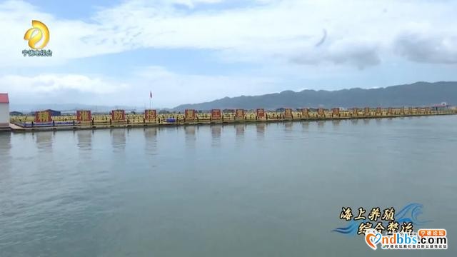 宁德：升级版“海上田园”重现闽东碧海清波-7.jpg