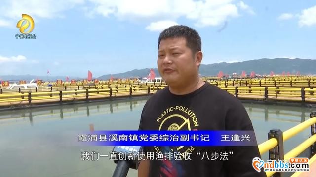 宁德：升级版“海上田园”重现闽东碧海清波-8.jpg