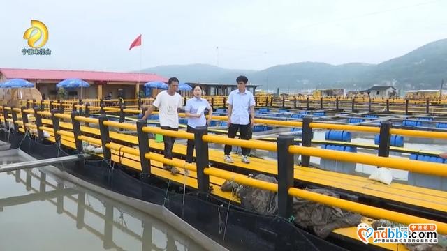 宁德：升级版“海上田园”重现闽东碧海清波-9.jpg