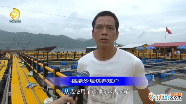 宁德：升级版“海上田园”重现闽东碧海清波-10.jpg