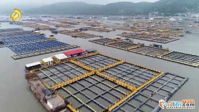 宁德：升级版“海上田园”重现闽东碧海清波-11.jpg