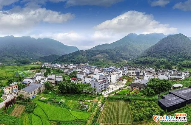 宁德：王绍据：“中国扶贫第一村”启幕人-6.jpg