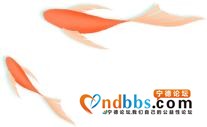 宁德：省交通运输厅王增贤副厅长来宁调研普通国省道“迎国评”工作-16.jpg
