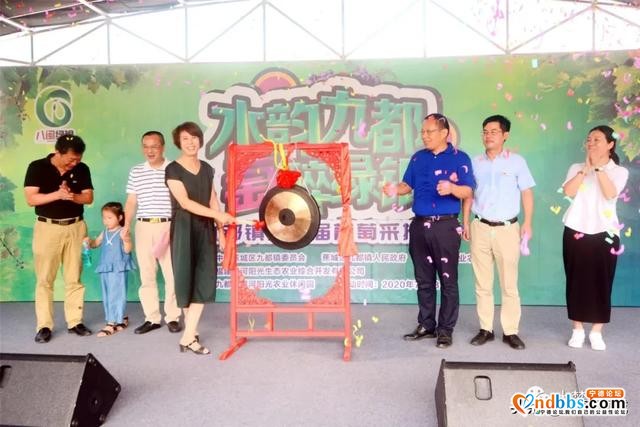 葡萄狂欢盛宴来袭！这个采摘节人气爆棚…-1.jpg
