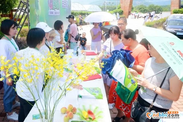 葡萄狂欢盛宴来袭！这个采摘节人气爆棚…-10.jpg