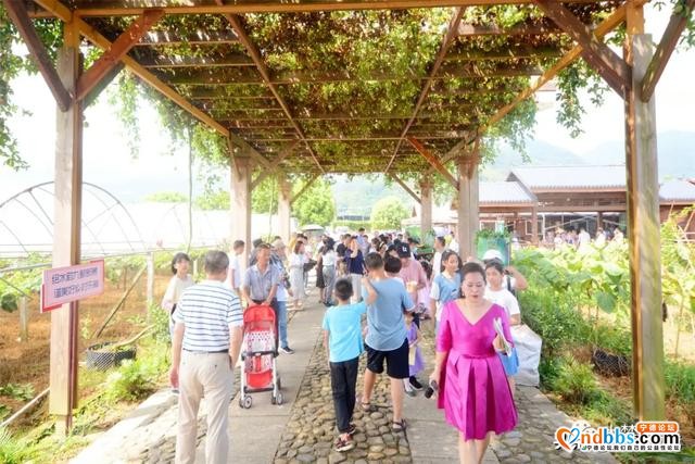 葡萄狂欢盛宴来袭！这个采摘节人气爆棚…-6.jpg