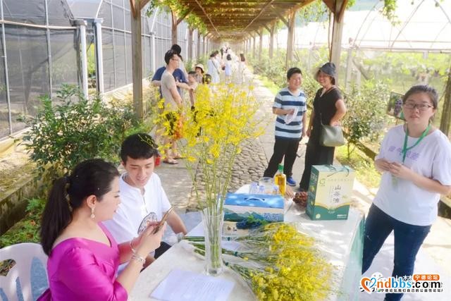 葡萄狂欢盛宴来袭！这个采摘节人气爆棚…-7.jpg