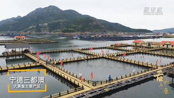 宁德：决胜全面小康 决战脱贫攻坚 | 新华社：舌尖上的小康“呱呱叫”的鱼滋味-1.jpg