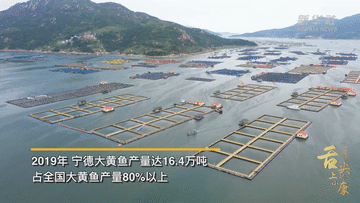 宁德：决胜全面小康 决战脱贫攻坚 | 新华社：舌尖上的小康“呱呱叫”的鱼滋味-3.jpg